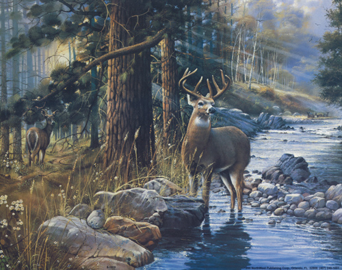 Deer 1019 Print Size 10 x 8 - 2220