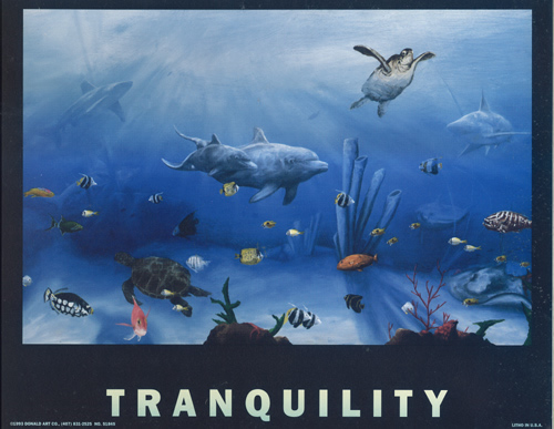 Tranquility 8097 Print Size 10 x 8 - 2333