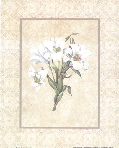 Lillies 1263 Print Size 10 x 8 - 2357