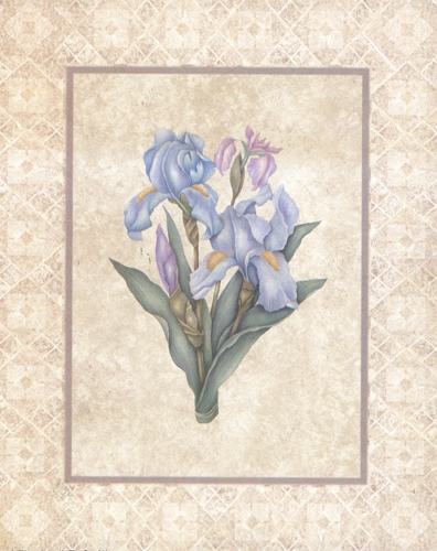 Iries 1264 Print Size 10 x 8 - 2358