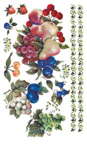 Fruit Rub On - 238LAN