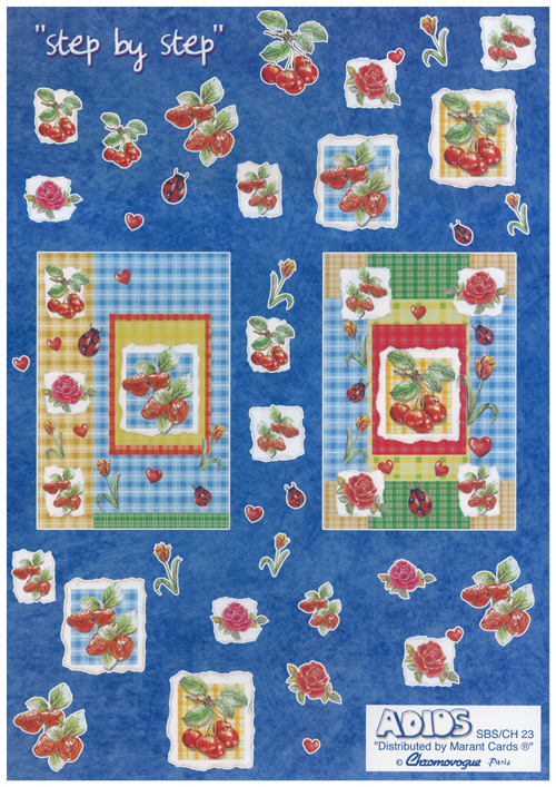 Fruit Flower and Ladybird A4 Sheet - 23CHSBS B
