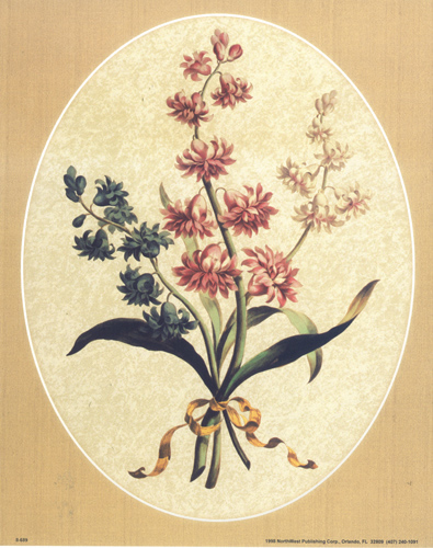 Hyacinths 689 Print Size 10 x 8 - 2492