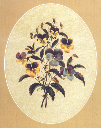 Heartsease 692 Print Size 10 x 8 - 2493