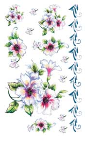 Wild Roses Rub On - 267LAN