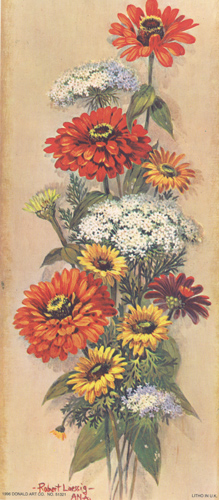 Zennias 9 x 4 - 2703A