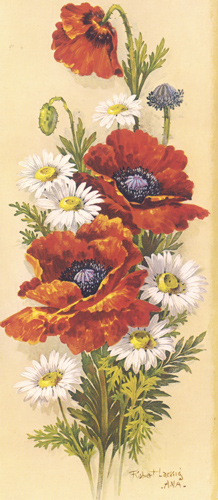 Zennias 9 x 4 - 2704A