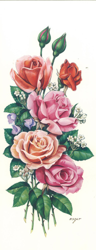 Roses 2 15 x 6 - 2710