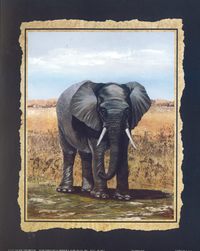Elephant 4413 Print Size 10 x 8 - 2803