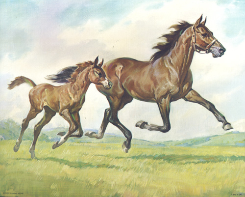 Horse And Colt 2 - 2821