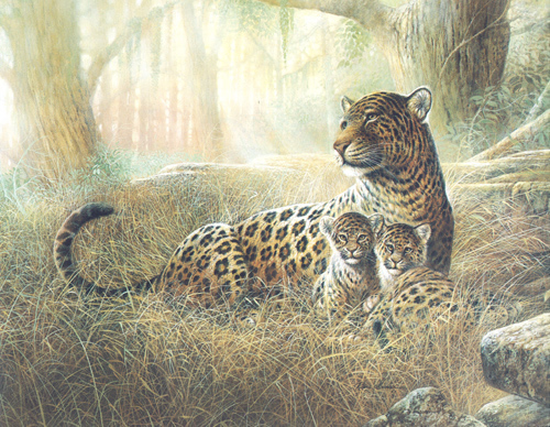 Spotted Beauty 5 x 3 - C0156