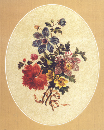 Anenomies 691 Print Size 10 x 8 - 2865