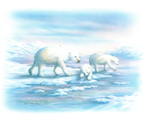 Polar Bears Size 10 x 8 - 2927