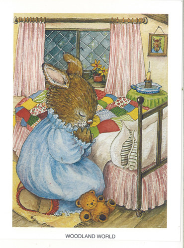 Woodland World Say A Little Pray 8 x 6 - 2990