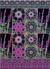 Foxglove A4 Card - 32419