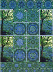 Bluebells A4 Card - 32421