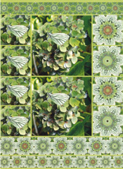 Hydrangea A4 Card - 32431