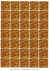 325006