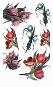 Elegant Tulips - 333JAC