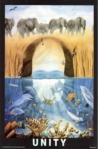 Unity 8095 Print Size 10 x 8 - 3618