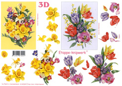Daffodils and Tulips - 4169228