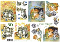 Kittens and Chicks - 4169266