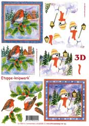 Robin and Snowman - 4169395