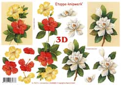 White yellow and Red Flowers - 4169428