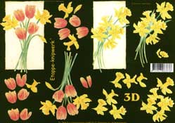 Tulips and Daffs - 4169435