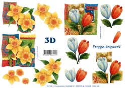 Daffs and Tulips - 4169440