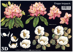 Flowers on Black Background - 416946