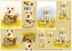 Pup and Kitten - 4169488