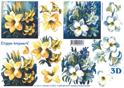 White and Yellow Flowers - 4169507