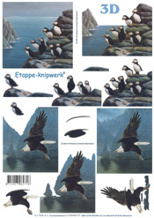 Puffin and Eagle - 4169596