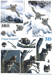 Tiger and Wolf - 4169599