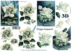 White Rose - 4169625