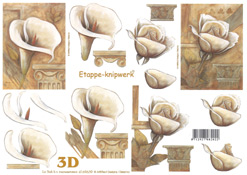 Flower Heads - 4169639