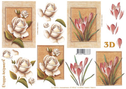 Florals - 4169641