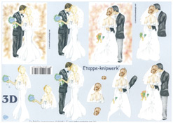 Wedding Couple - 4169651