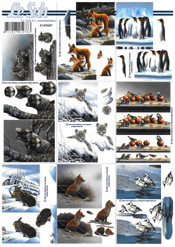 Small Animals - 4169687