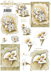 White Lilies - 4169689