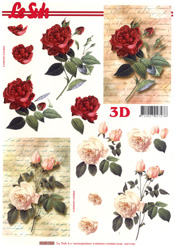 Red and Pink Rose - 4169724