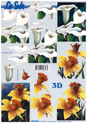 Daffoldils - 4169728