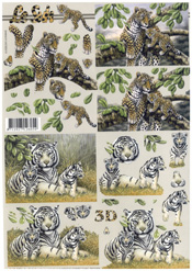 Leopard and Tiger - 4169800