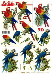 Parrots - 4169802