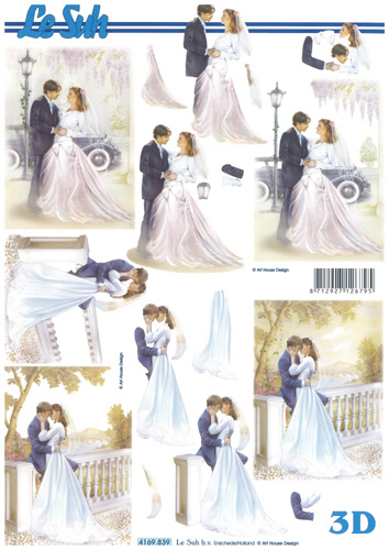 The Bride and groom on their Wedding Day - 4169839