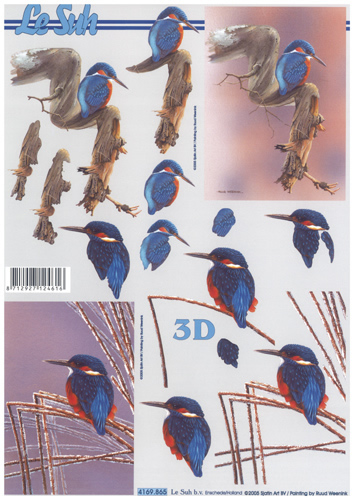 Kingfisher bird - 4169865