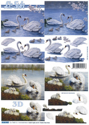 Swans and Signets - 4169907