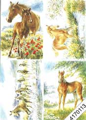 Horses and Foals - 4170113