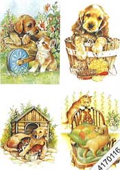 Pups and Kittens getting into michief - 4170116